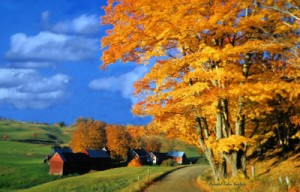 jennefarmautumn1 300x192 New England Fall Colours